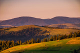 Fototapeta Na ścianę - Background with Ukrainian Carpathian Mountains during the sunset in the Pylypets