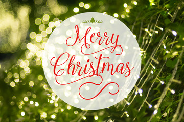 Aufkleber - Merry Christmas word and xmas tree icon on at blurred background of green tree decoration with light bokeh,Holiday greeting card