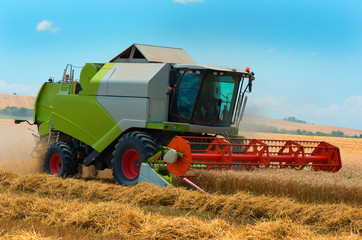 Wall Mural - Harvester machine to harvest wheat field working. Agriculture