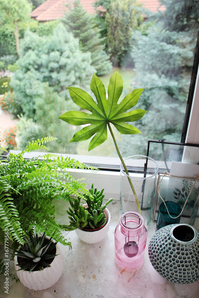 Obraz na płótnie widok z okna, rośliny na parapecie w salonie