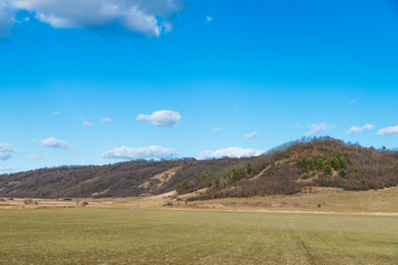 Wall Mural - field