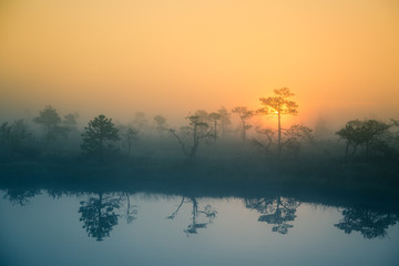 Wall Mural - a beautiful, dreamy morning scenery of sun rising in a misty swamp. artistic, colorful landscape pho