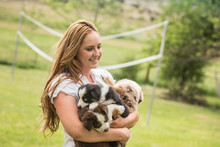 Young Woman Holding Sheepdog Puppies On Ranch, Bridger, Montana, USA