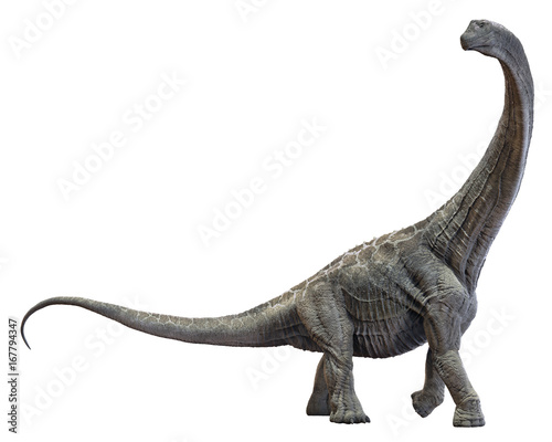 Photo  3D rendering of Alamosaurus, isolated on a white background.