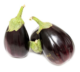 Eggplant isolated on white background