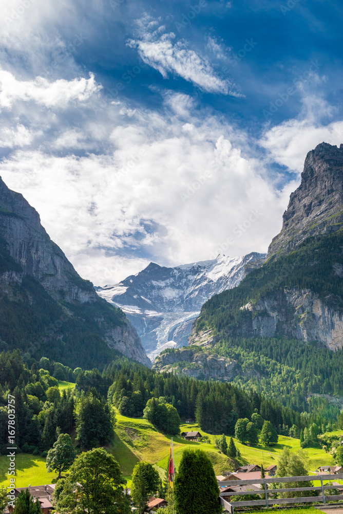 Plissee mit Motiv - Blick auf den Unterer Grindelwaldgletscher, Grindelwald, Berner Oberland