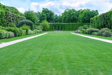 Canvas Print - View of beautiful green park