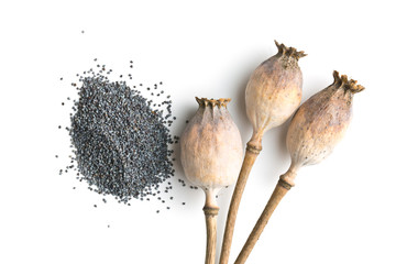 Poster - Dried poppy heads and seeds.