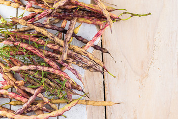 Wild mesquite beans.