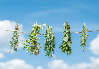 Wall Mural - Bundles of flavoured herbs drying on the open air. Sky background.