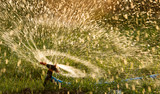 Fototapeta Łazienka - Splashing water from a hose on the lawn