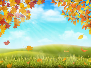 Rural hilly landscape in autumn season. Tree branches with yellow and red leaves on front plan. Grass with fallen foliage on background. Vector realistic illustration.