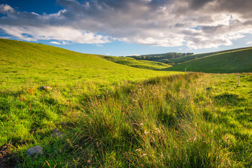 Sticker - Source of the River Aln / The River Aln rises in the Cheviot Hills near Alnham in Northumberland. Seen here as more bog than river