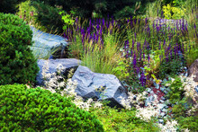 Stones For The Alpine Slide, House Garden Landscaping Design. Plants And Rocks In Landscape Background