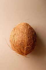 Wall Mural - Coconut on a neutral background. Whole coconut. Top view