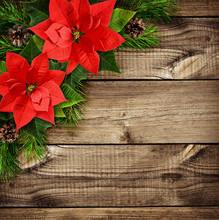 Red Poinsettia Flowers And Fir-tree Branches On Wood