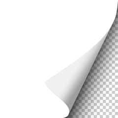 Wall Mural - Vector curled corner of sheet of white paper, soft shadow and transparent background. Element for ad.
