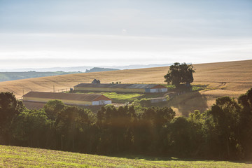 Wall Mural - Agricultura - Sul do Brasil