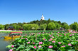 © WaitforLight - Beihai park scenery in summer in Beijing,China.