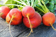 Raw Organic Golden Beets On Wooden Background