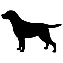 Labrador Retriever. Vector Black Silhouette On A White Background. Illustration Of Dog Breeds 