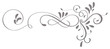 calligraphy flourish art of vintage decorative whorls for design. Vector illustration EPS10