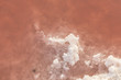 © travelview - detail of red Salt lake - Camarque, France