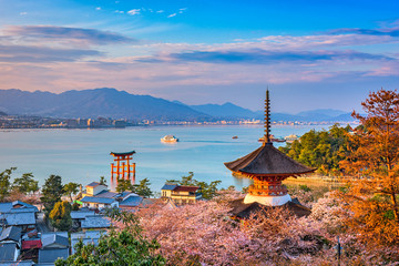 Fototapete - Miyajima Island, Hiroshima, Japan