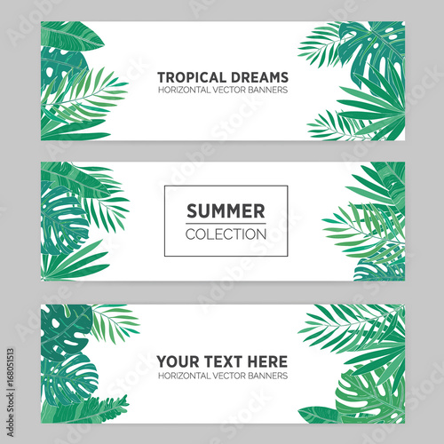 Set Of Summer Horizontal Banners With Tropical Leaves Monstera Banana Chamaedorea And Other Palms Template For Advertising Production Background With Place For Text Stock Vector Adobe Stock