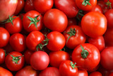 Fototapeta Kuchnia - Shot of red tomatoes put together.