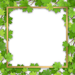 green maple tree branch border. golden frame in foliage. vector, isolated on a white background.