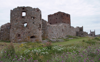 Wall Mural - hammershus tower