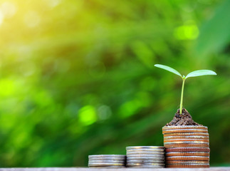 coins stacks on table with tree growing on top, nature background, money, saving and investment concept