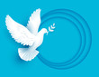 White dove holds twig symbol of peace