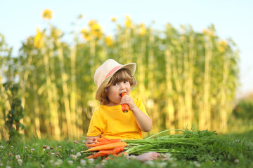 Wall Mural - Cute little girl sitting on a green grass eating carrot