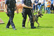 démonstration de chien policier de la brigade canine belge