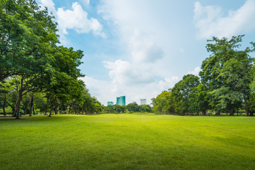 Canvas Print - Beautiful morning light in public park with green grass field