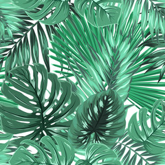  Tropical rainforest palm monstera leaves seamless pattern. Bright green on white island paradise background. Botanical vector design illustration.