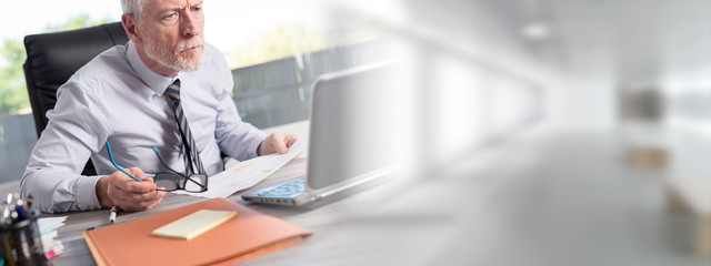 Wall Mural - Mature businessman working on laptop