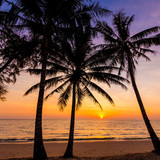 Fototapeta Morze - Palm trees silhouette at sunset. sunset and beach. Beautiful sunset above the sea