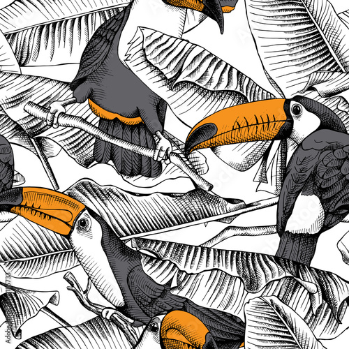 seamless-pattern-with-image-of-a-toucan-and-banana-leaves-vector-illustration