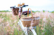 Bicycle retro with basket picnic and guitar of flowers in meadow.  Travel Concept. select and soft focus