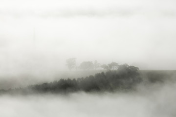 Canvas Print - Misty Landscape on Early Morning