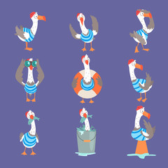 Sticker - Funny cartoon seagull showing different actions and emotions set, cute comic bird characters