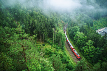 Train in Black Forest covered in soft clouds