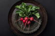 Bunch of radishes in a metal plate on a dark background