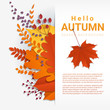 © littleartvector - Hello autumn with colorful leaves and fruits background , vector , illustration