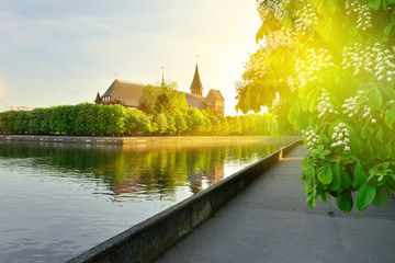 Canvas Print - Konigsberg Cathedral on Kneiphof island. Kaliningrad, formerly K