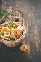 Basket With Wild Mushrooms Chanterelles On A Dark Background