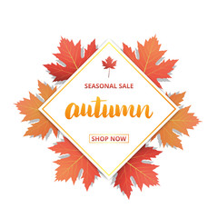 Wall Mural - autumn sale banner with lettering. autumn seasonal sale advertisement for online marketing. sale, ad